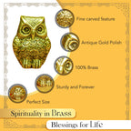 Brass Owl Showpiece for Home Decor, Office Decor & Vastu Display