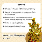 Lord Krishna Idol for Pooja, Home Decor & Spiritual Gifting (Size -14 Inch)