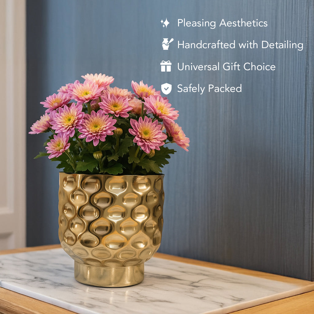 Gold Metal Planter for Indoor , Living Room & Office Decor