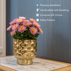 Gold Metal Planter for Indoor , Living Room & Office Decor