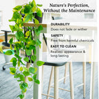 Golden Pothos Hanging Artificial Plants with Pot Set of 2 for Home Decor