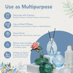 Glass Bud Vase Set for Home Decor, Indoor Plants & Table Decor