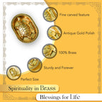 Brass Tortoise Vastu Idol for Home Decor, Office Desk & Gifting