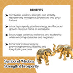 Brass Elephant Showpiece Pair with Gift Box for Housewarming, Wedding & Gifting