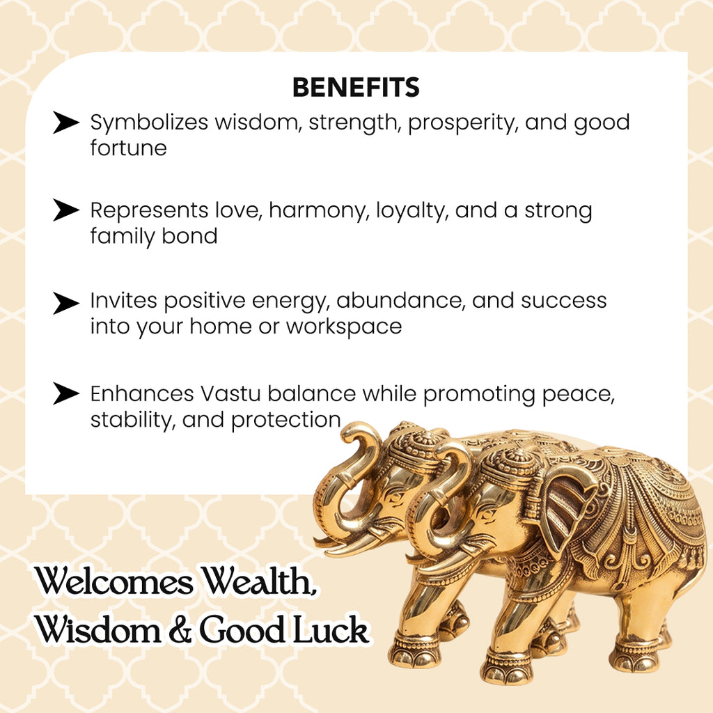 Brass Elephant Showpiece Pair with Gift Box for Housewarming, Wedding & Vastu Gifting