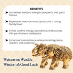 Brass Elephant Showpiece Pair with Gift Box for Housewarming, Wedding & Vastu Gifting