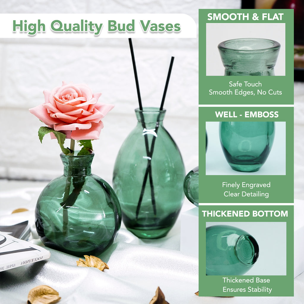 Glass Bud Vase Set for Home Decor, Indoor Plants & Table Decor