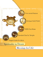 Brass Feng Shui Tortoise Idol for Vastu & Home Decor