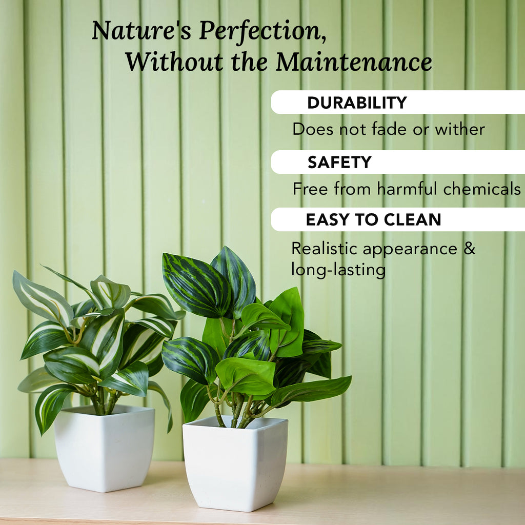 Artificial Green Dracaena Plants with Pots for Home & Office Decor (Set of 2)