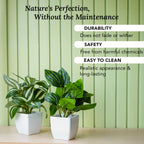 Artificial Green Dracaena Plants with Pots for Home & Office Decor (Set of 2)