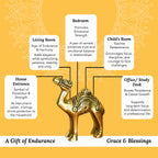 Pure Brass Camel Showpiece for Home, Office & Table Decor