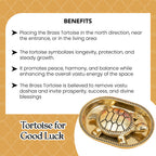 Brass Tortoise Idol with Plate & Gift Box for Housewarming, Wedding & Gifting