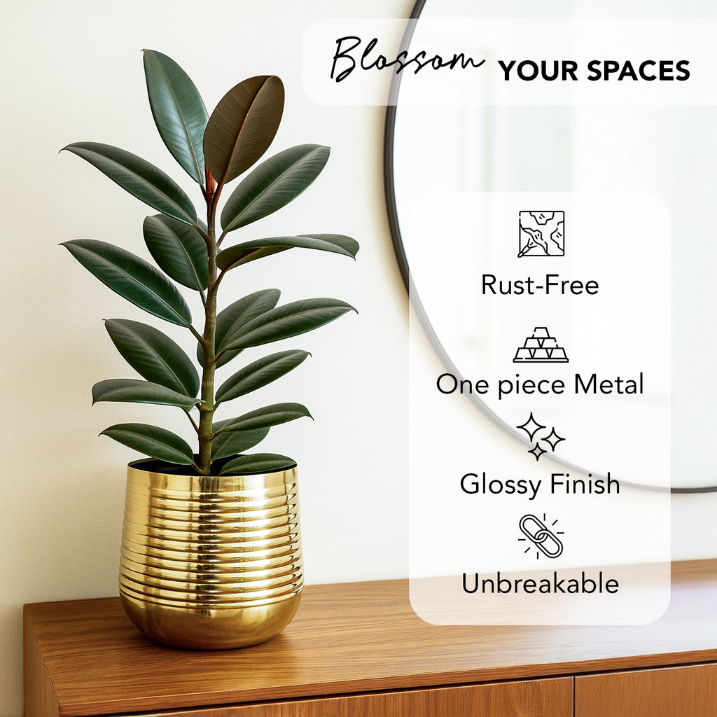 Gold Metal Planter for Indoor , Living Room & Office Decor