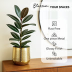 Gold Metal Planter for Indoor , Living Room & Office Decor