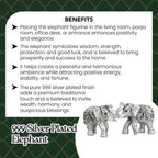 999 Silver Plated Elephant Pair with Green Velvet Gift Box for Vastu, Housewarming & Wedding Gift