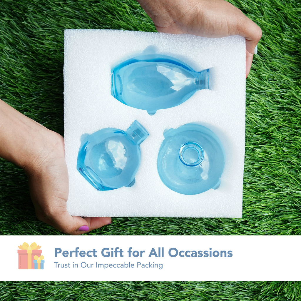 Glass Bud Vase Set for Home Decor, Indoor Plants & Table Decor