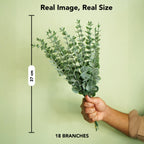 Eucalyptus Leaves Artificial Bunch(18 Stems) for Vase & Home Decor