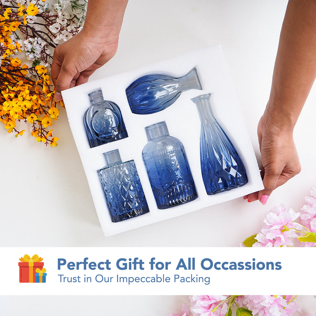 Glass Bud Vases Set of 5 for Home Decor , Table Decoration & Gifting