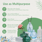 Glass Bud Vase Set for Home Decor, Indoor Plants & Table Decor