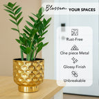Gold Metal Planter for Indoor , Living Room & Office Decor