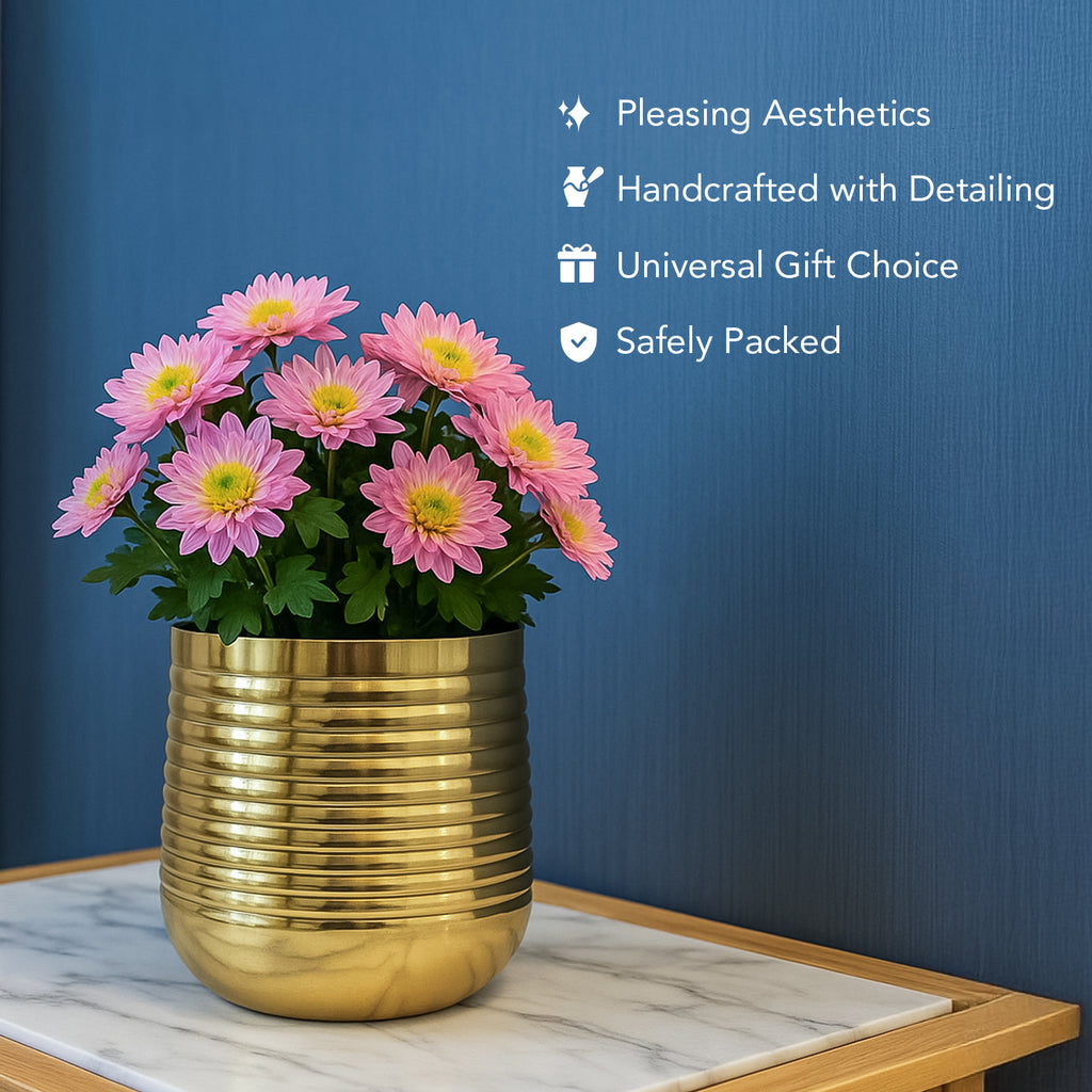 Gold Metal Planter for Indoor , Living Room & Office Decor