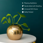 Metal Flower Vase for Home Decor, Living Room & Gifting