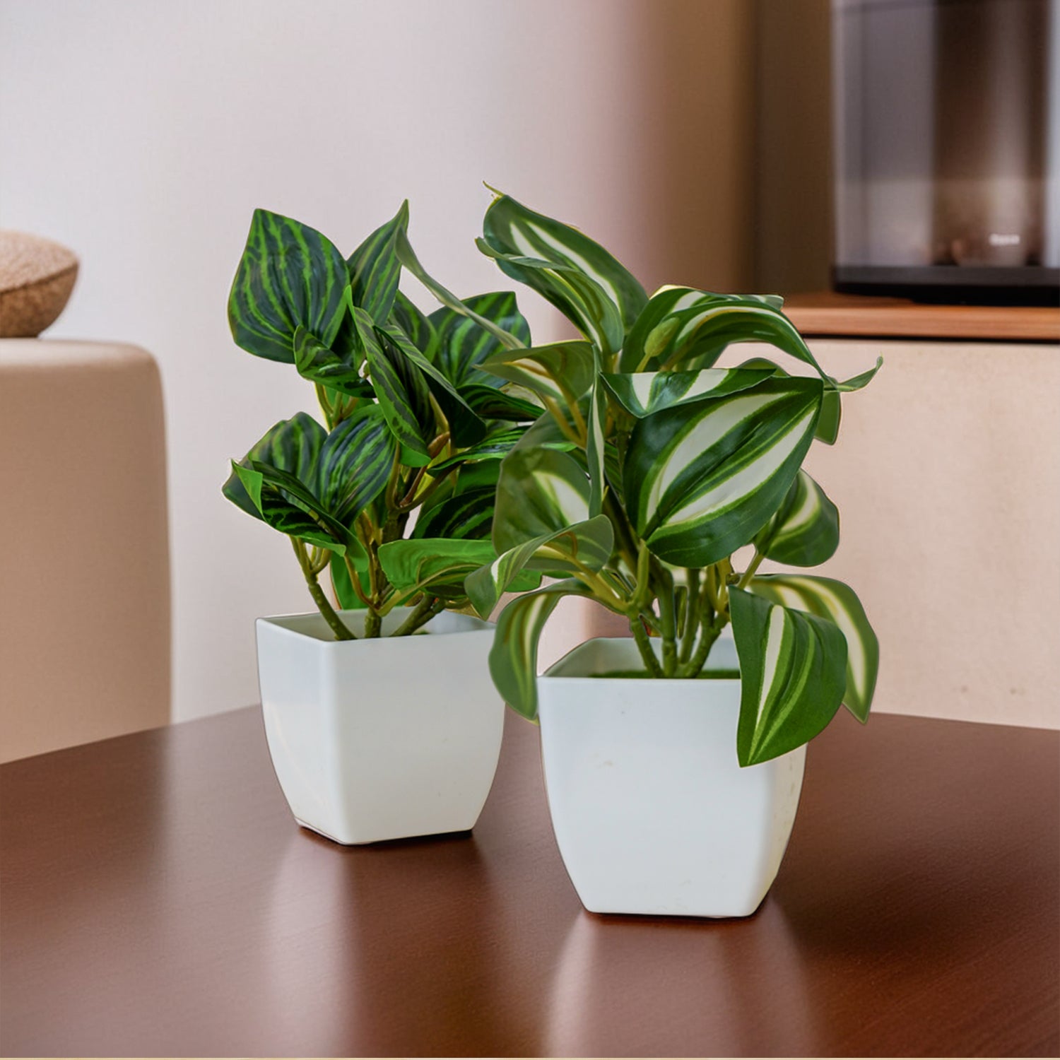 Artificial Green Dracaena Plants with Pots for Home & Office Decor (Set of 2)