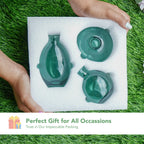 Glass Bud Vase Set for Home Decor, Indoor Plants & Table Decor