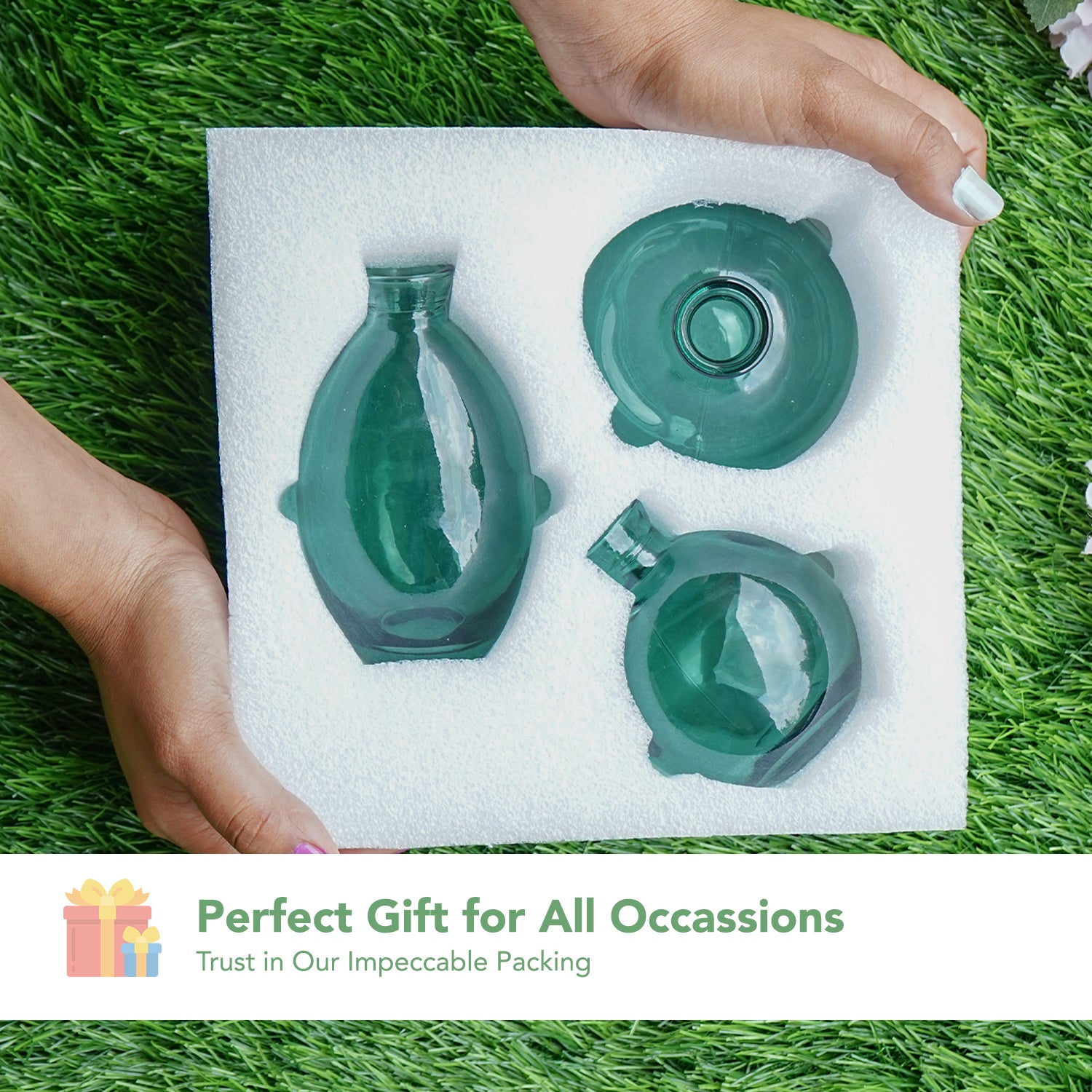 Glass Bud Vase Set for Home Decor, Indoor Plants & Table Decor