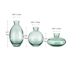Glass Bud Vase Set for Home Decor, Indoor Plants & Table Decor