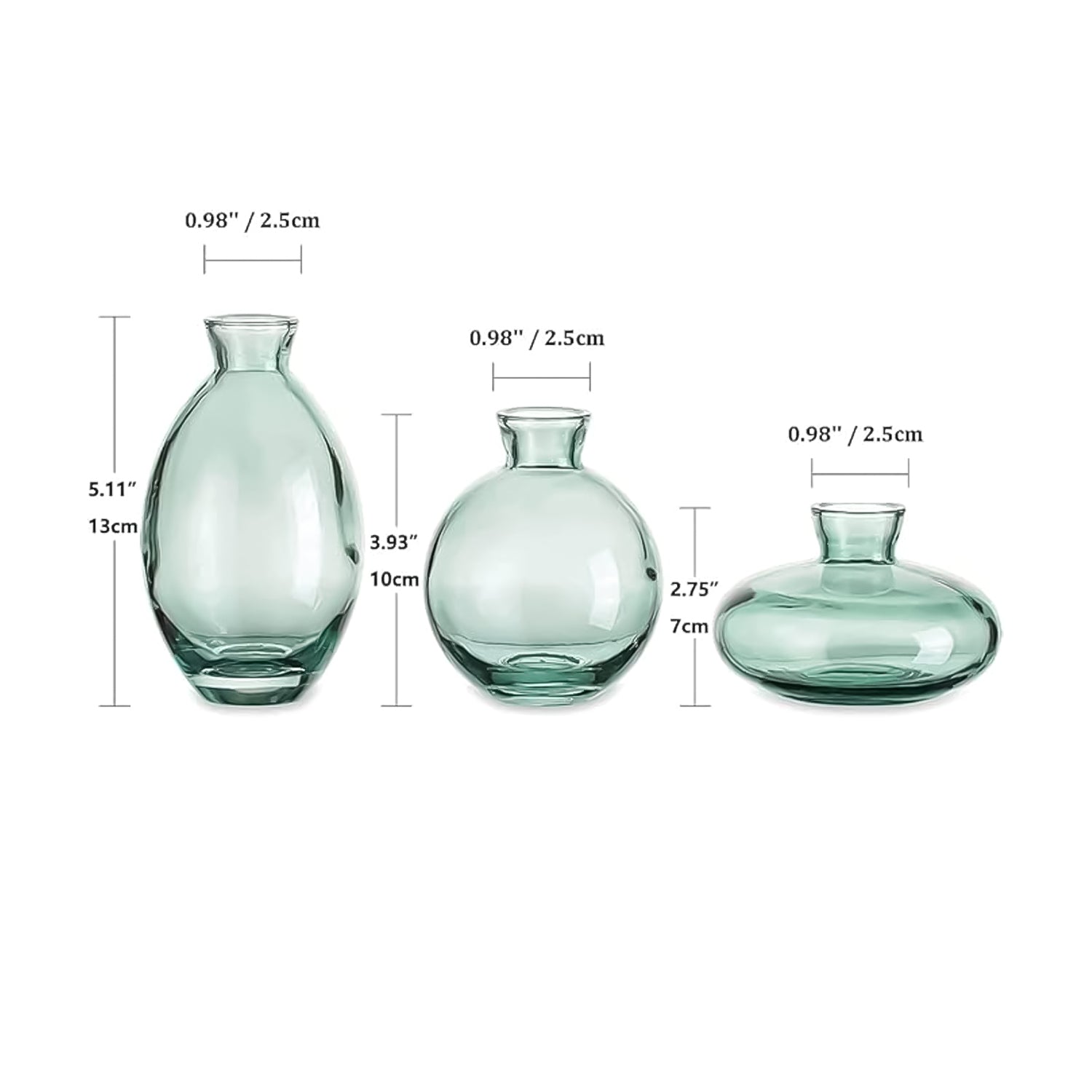 Glass Bud Vase Set for Home Decor, Indoor Plants & Table Decor
