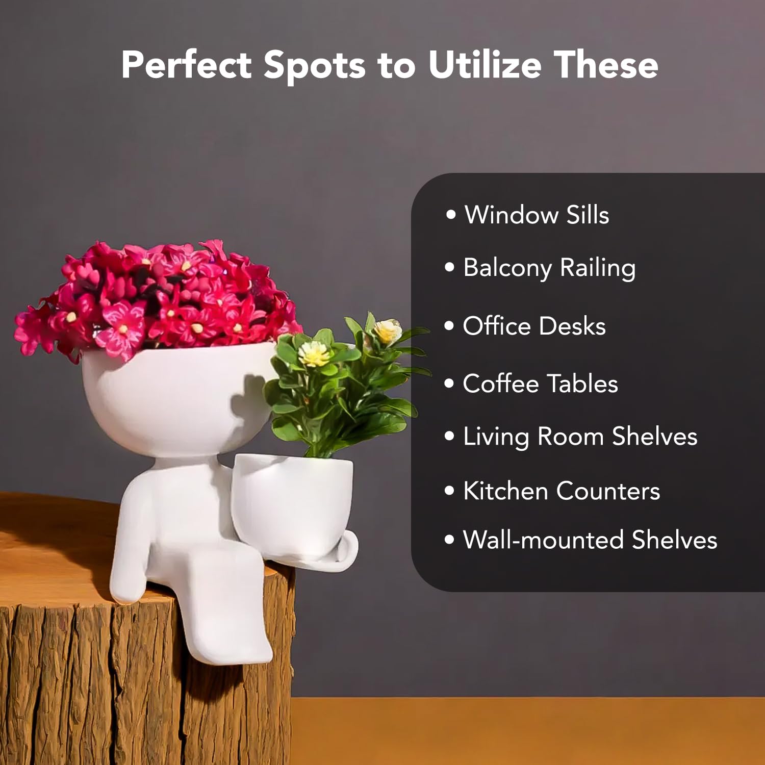 Ekhasa cute planters - enhances home decor with greenery