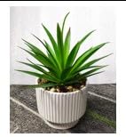 Ekhasa Agave Aloe Artificial Plant for Home Decor with Pot (15 CM) | Fake Faux False Show Decor Indoor Plastic Small Decorative Potted Plant for Living Room, Office, Desk, Green Plant for Decoration