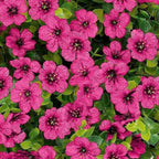 Hanging Artificial Faux Flowers Plant Basket for Balcony Home Decor & Outdoor Decoration