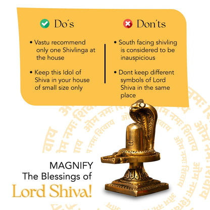 Ekhasa 100% Pure Brass Shivling for Home Puja (Size: 8 cm) | Siva Linga for Pooja | Shiva Lingam for Office | Shiv Linga for Gift | Shiva Linga | Ideal Gift for All Occasions