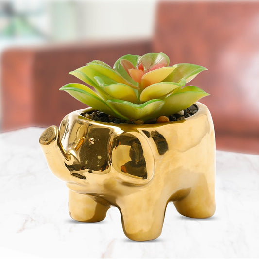 Ekhasa Succulent Artificial Plants for Home Decor with Elephant Desginer Pot (10 CM) | Fake Faux False Show Decor Indoor Plastic Small Decorative Potted Plant for Living Room, Office Decoration