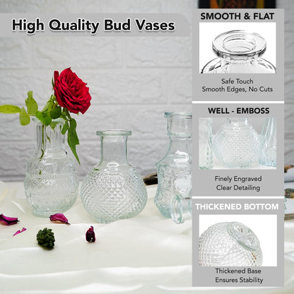 Ekhasa 100% Crystal Clear Glass Bud Vases Flower Pots for Home Decoration (Set of 5) | Center Table Mini Decorative Items | Transparent Glass Vase for Water Plants | Glass Planters for Indoor Plants