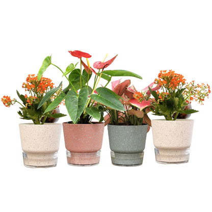 Ekhasa Self Watering Plants Pots (Set of 4) for Indoor, Garden, Balcony, Office Desk, Living Room, Bedroom, Table, Interior, Home Decor or for Gift (Pots only, No Plants Included with Purchase)