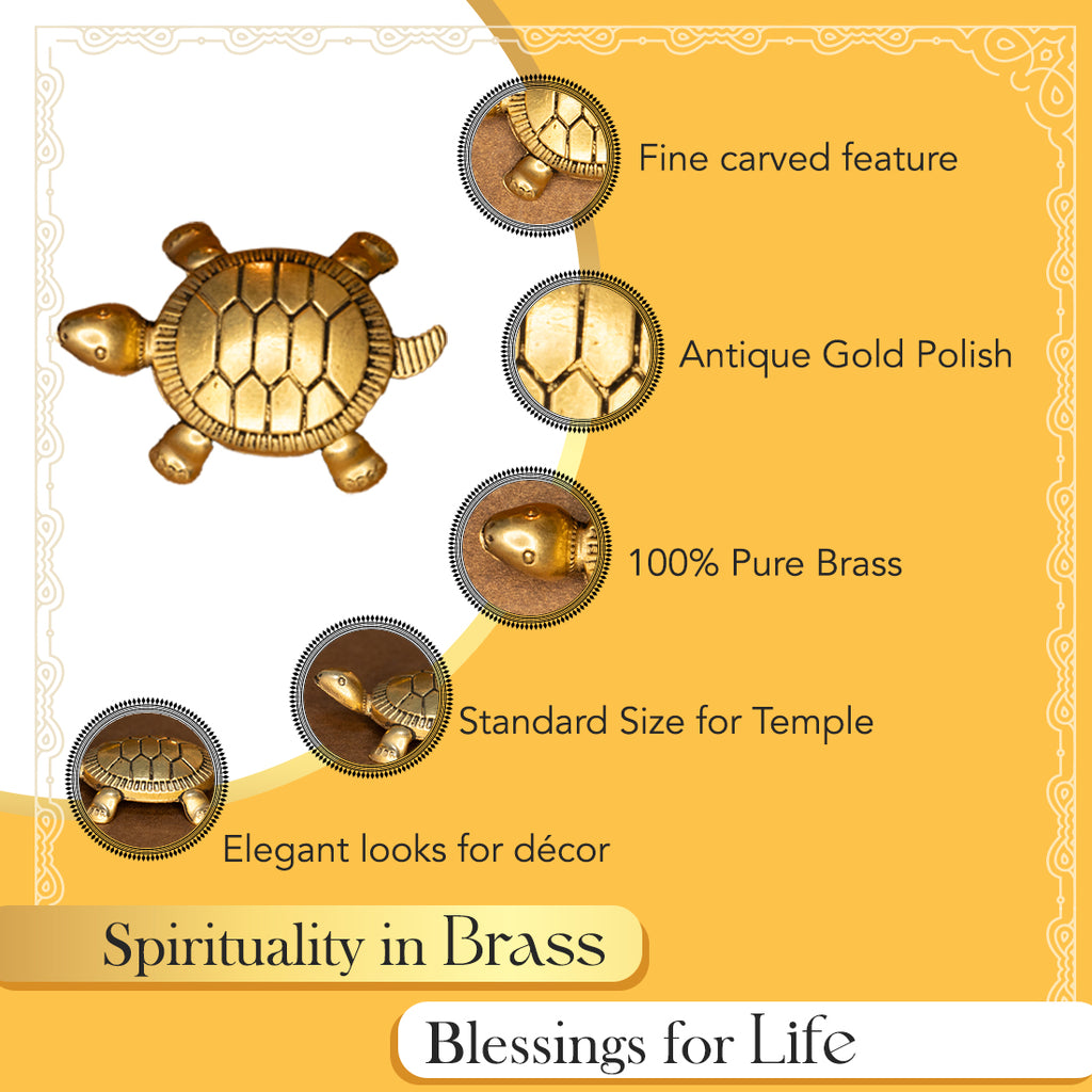 Brass Feng Shui Tortoise Idol for Vastu & Home Decor