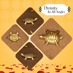 Brass Feng Shui Tortoise Idol for Vastu & Home Decor