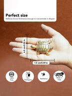 Brass Feng Shui Tortoise Idol for Vastu & Home Decor