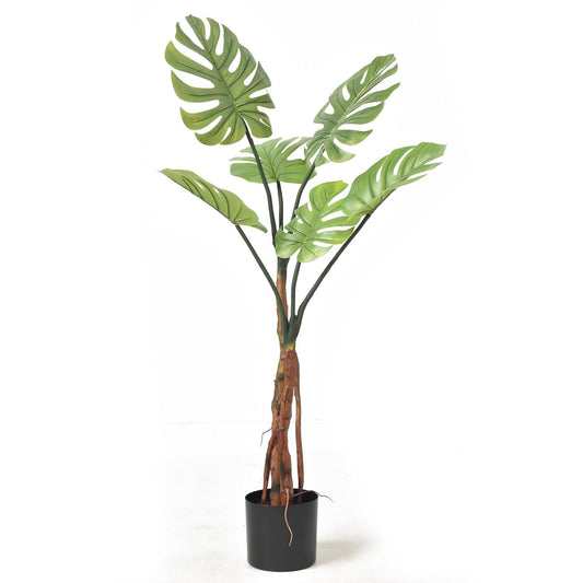 Ekhasa Monstera Tree - Unique gift idea